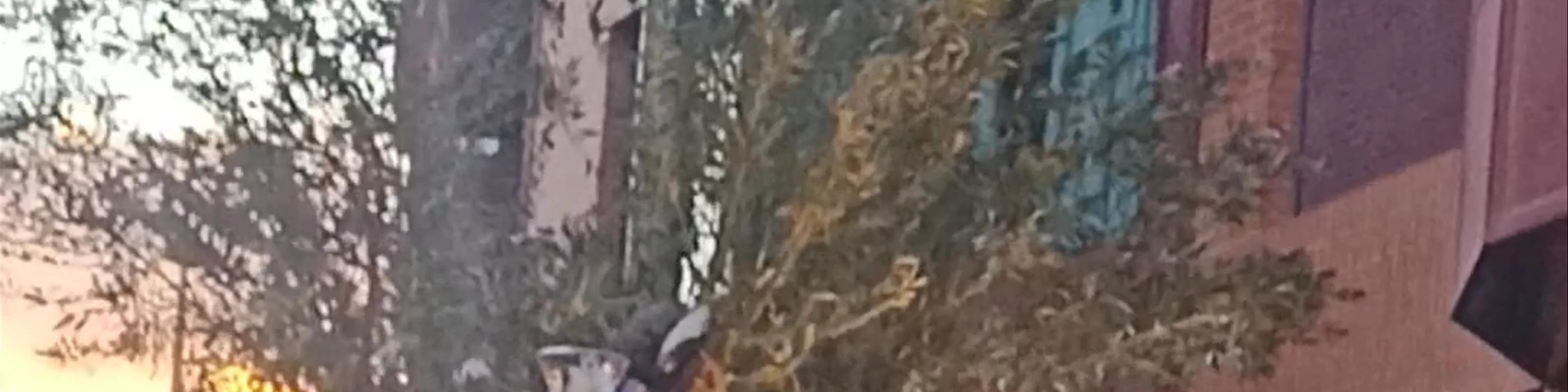 Cofradía de la Preciosísima Sangre de Nuestro Señor Jesucristo (Los Coloraos)