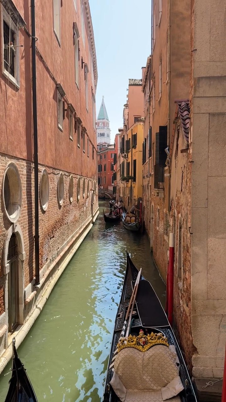 saving for later
📍 Venice Italy
🎥 Earth Photart · Pexels
#travel #europe #eurotrip #wanderlust #vacation