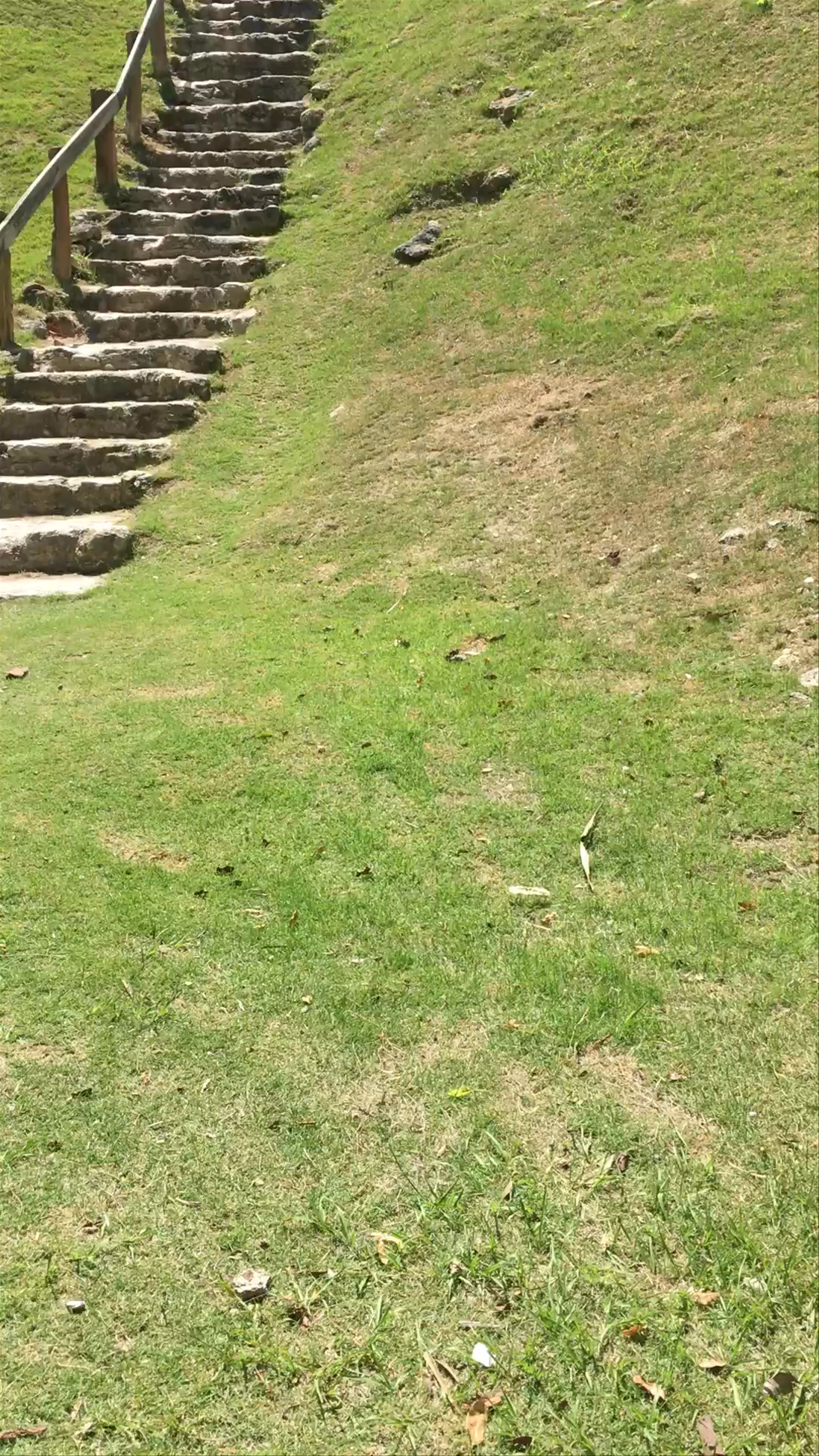 Xunantunich and Cave Tubing - Xunantunich and Cave Tubing From San Pedro. San Pedro Belize Tours