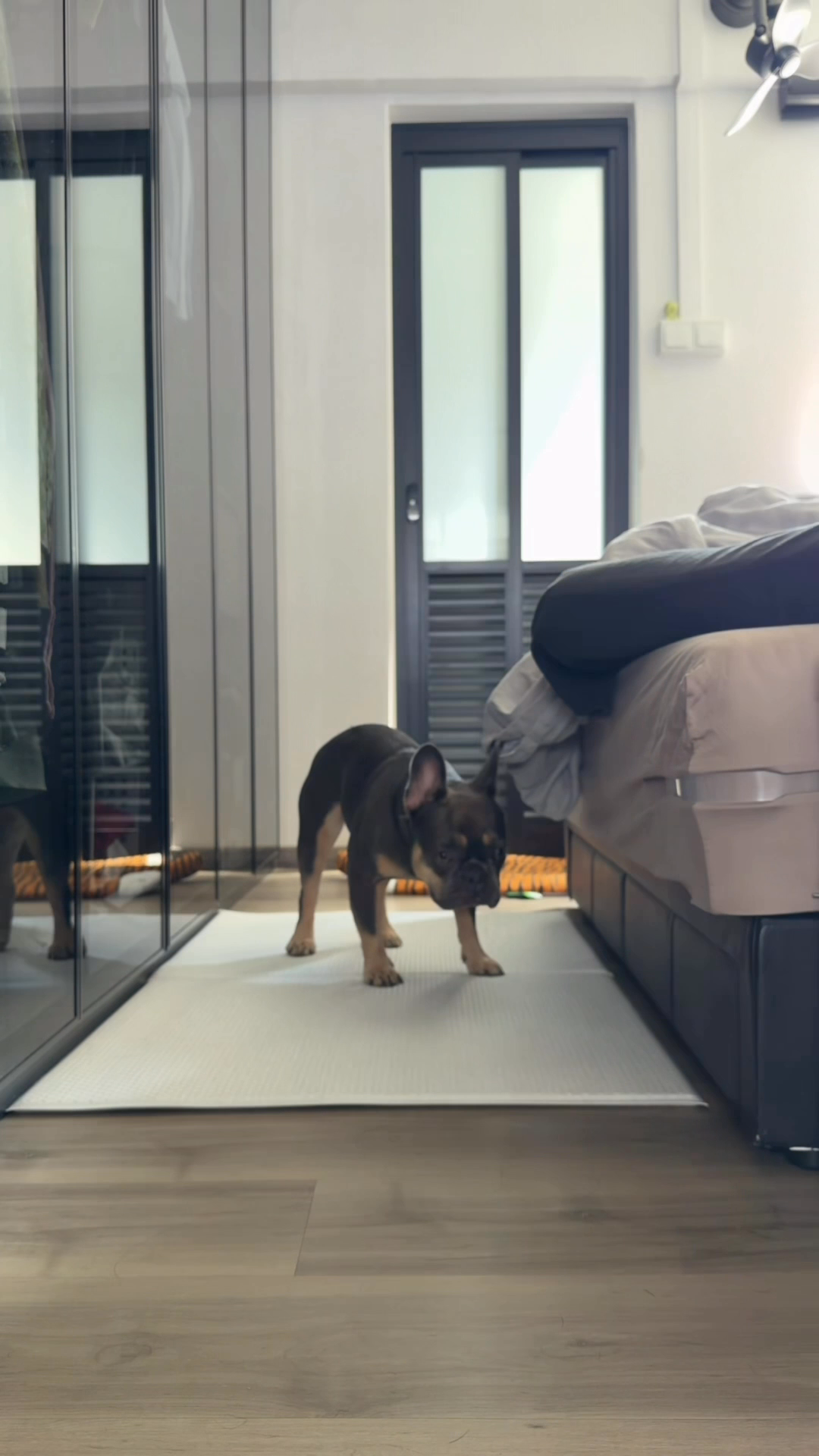 The-Pre-Cleaner-Prep-Routine