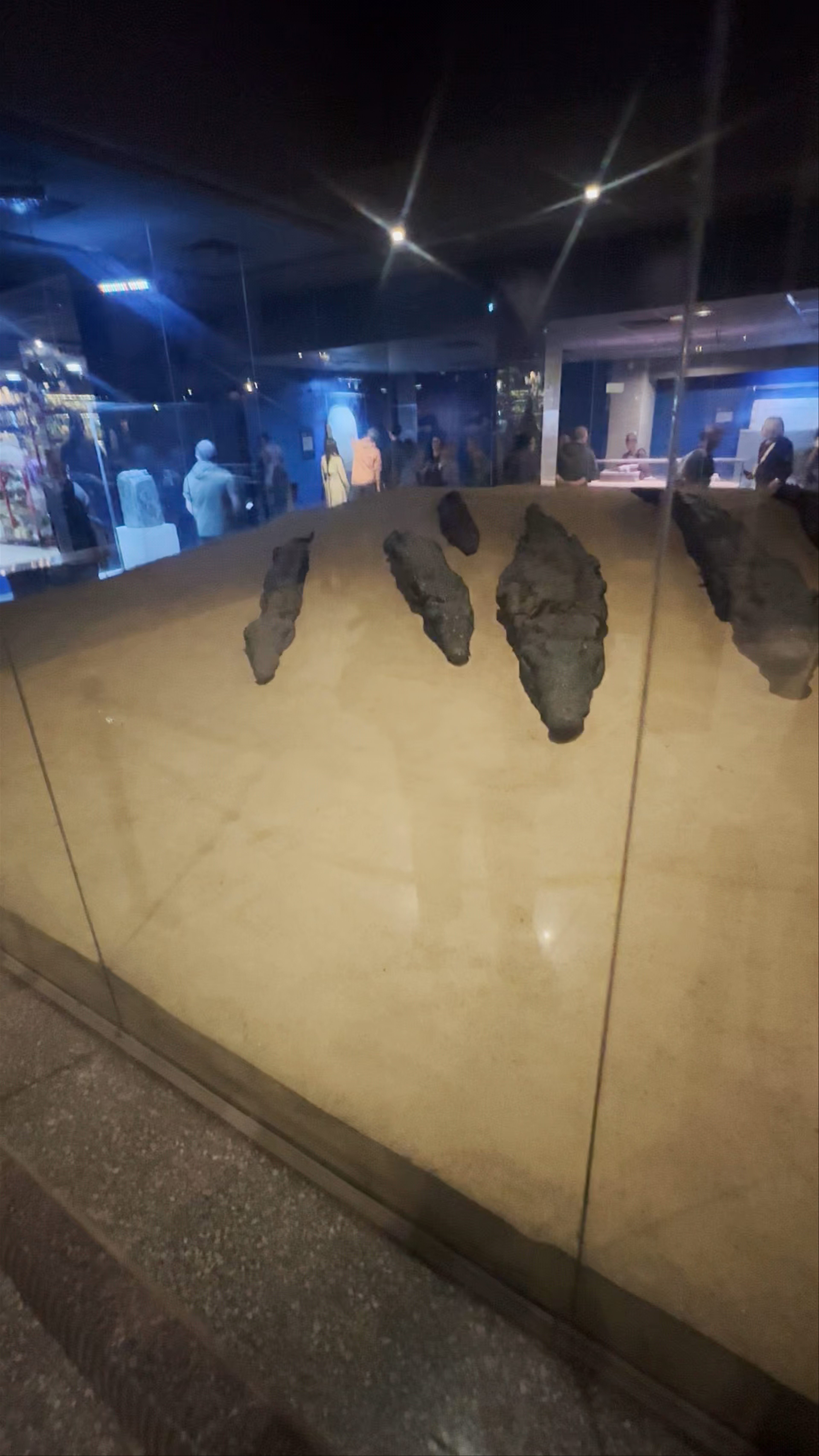Crocodile Museum: Unearthing Ancient Egyptian Mysteries in Draw, Egypt