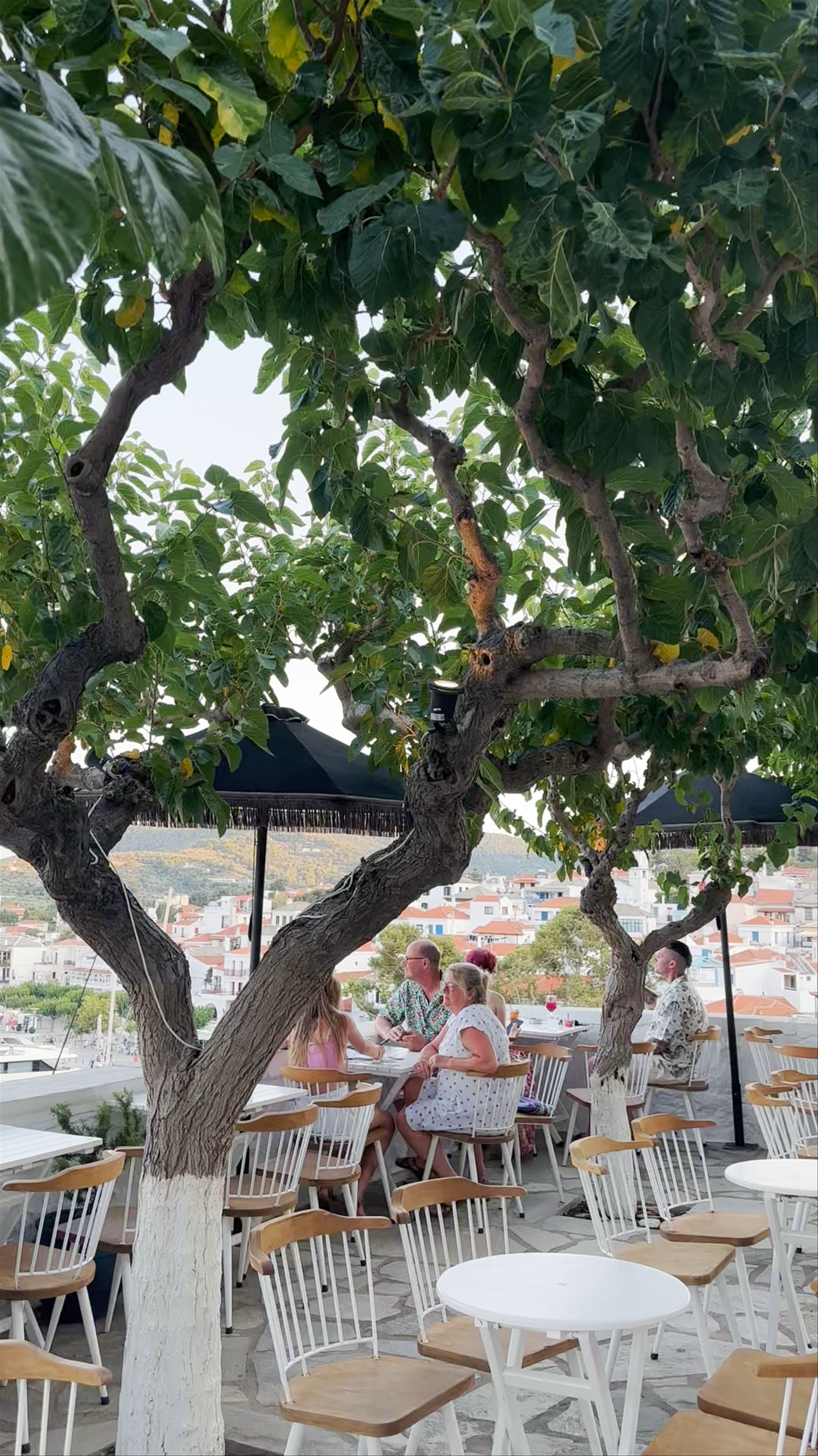 Vrachos All Day Cocktail Bar