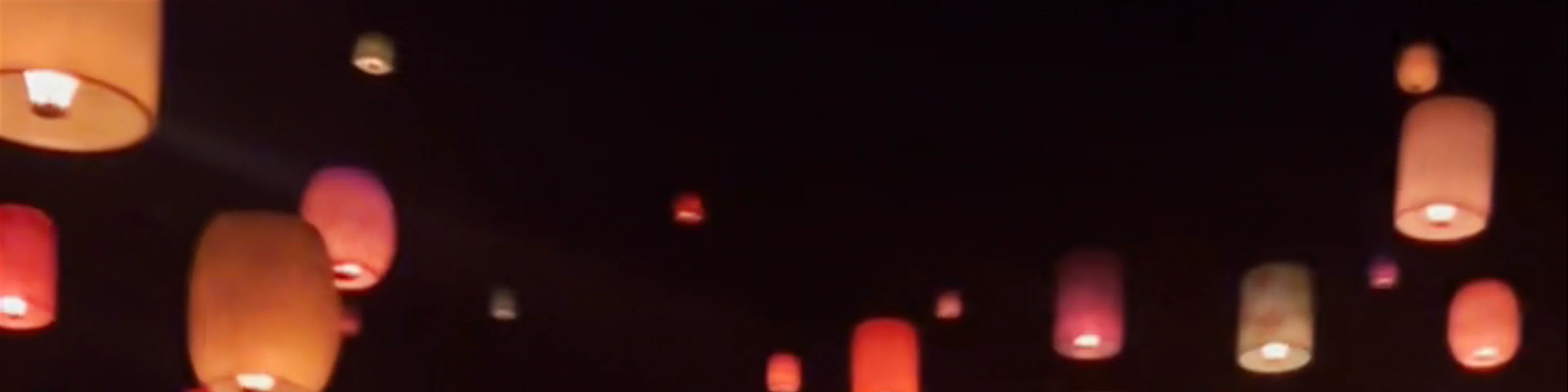 Rapunzel’s Lantern Festival