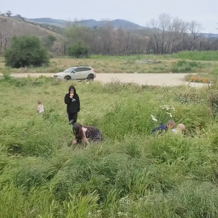 Clyde's Corner - A field for children to play magically. - Pizza Near Me - Phoenix, Oregon