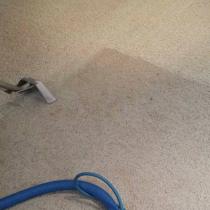 Lifeco Steam Clean - Carpet Cleaning Near Me - Austin, Texas
