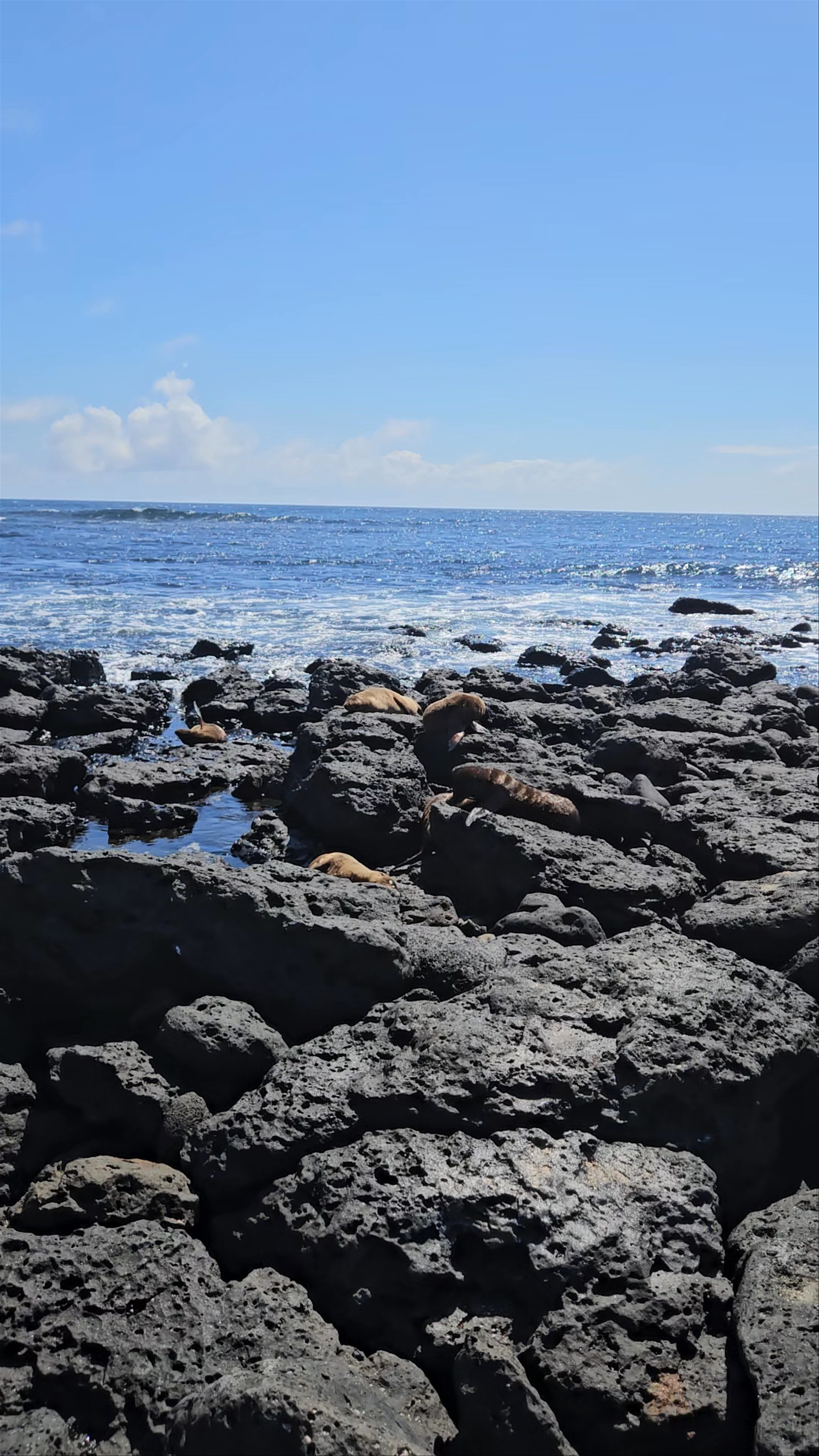 Playa Lobería