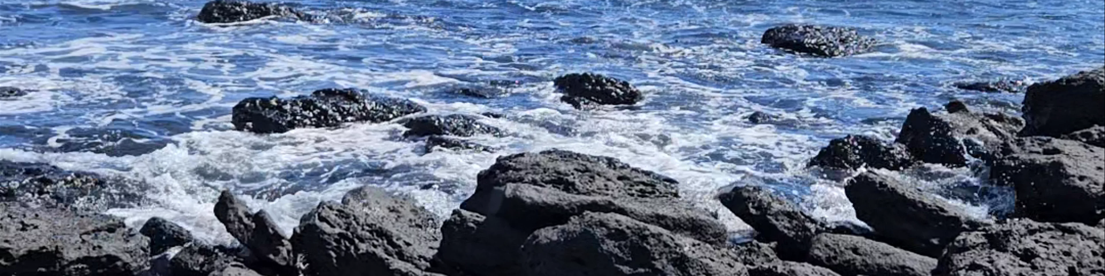 Playa Lobería