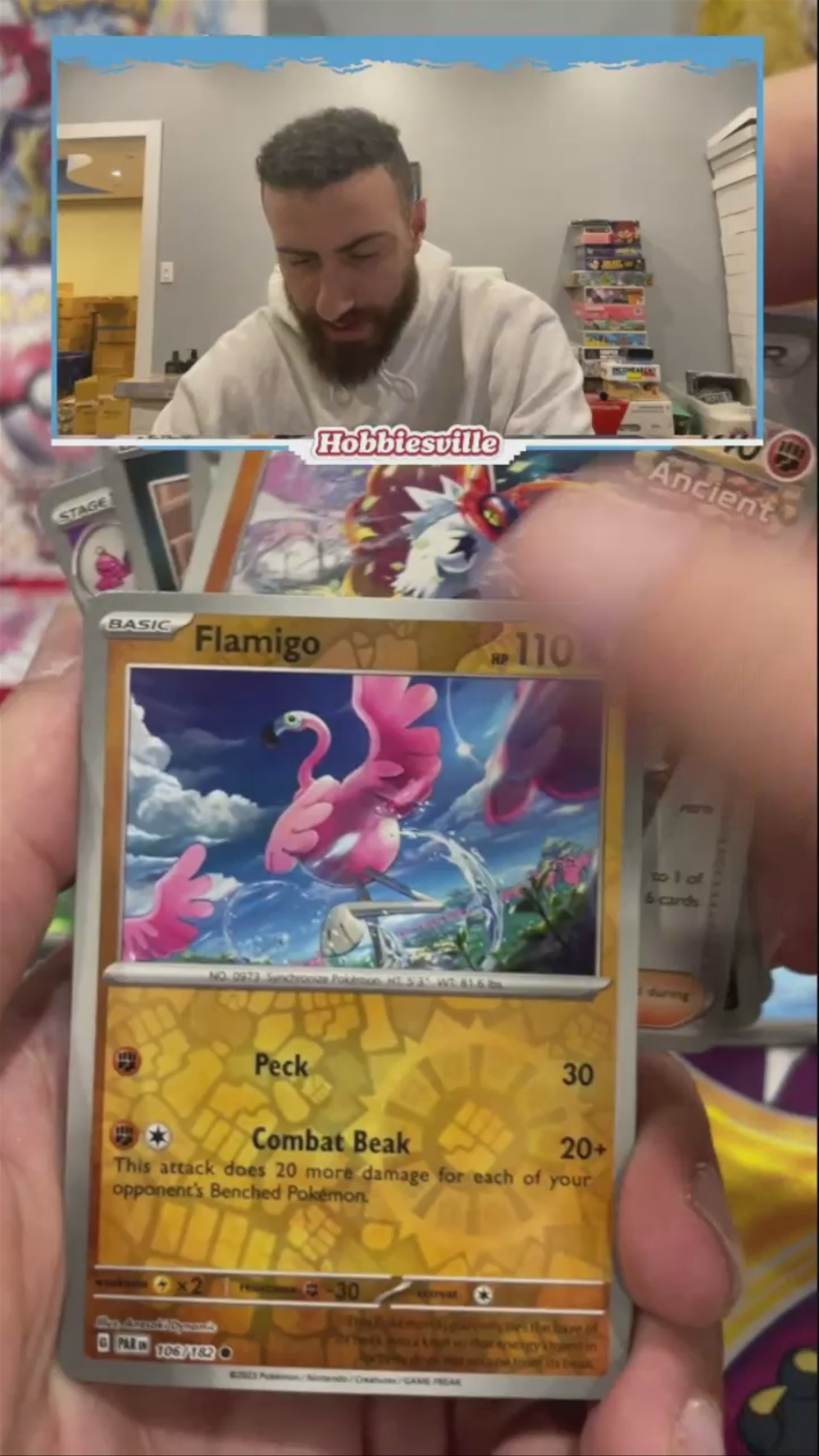 Iron Valiant Ex 