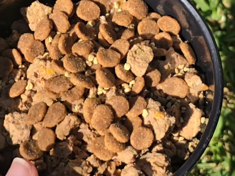 BeePollen dog food topper