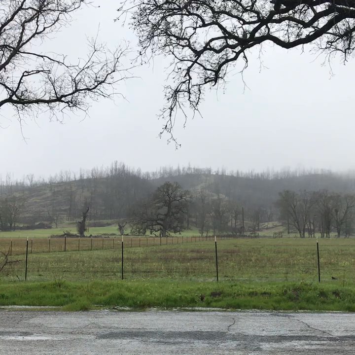 Middletown Trailside Park - Parks Near Me - Middletown, California