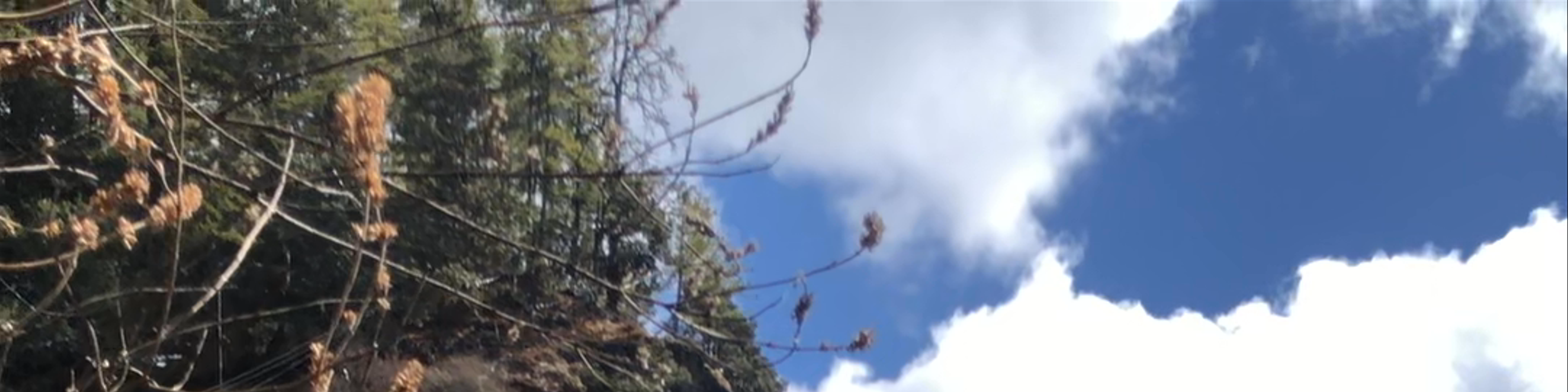 Bhutan