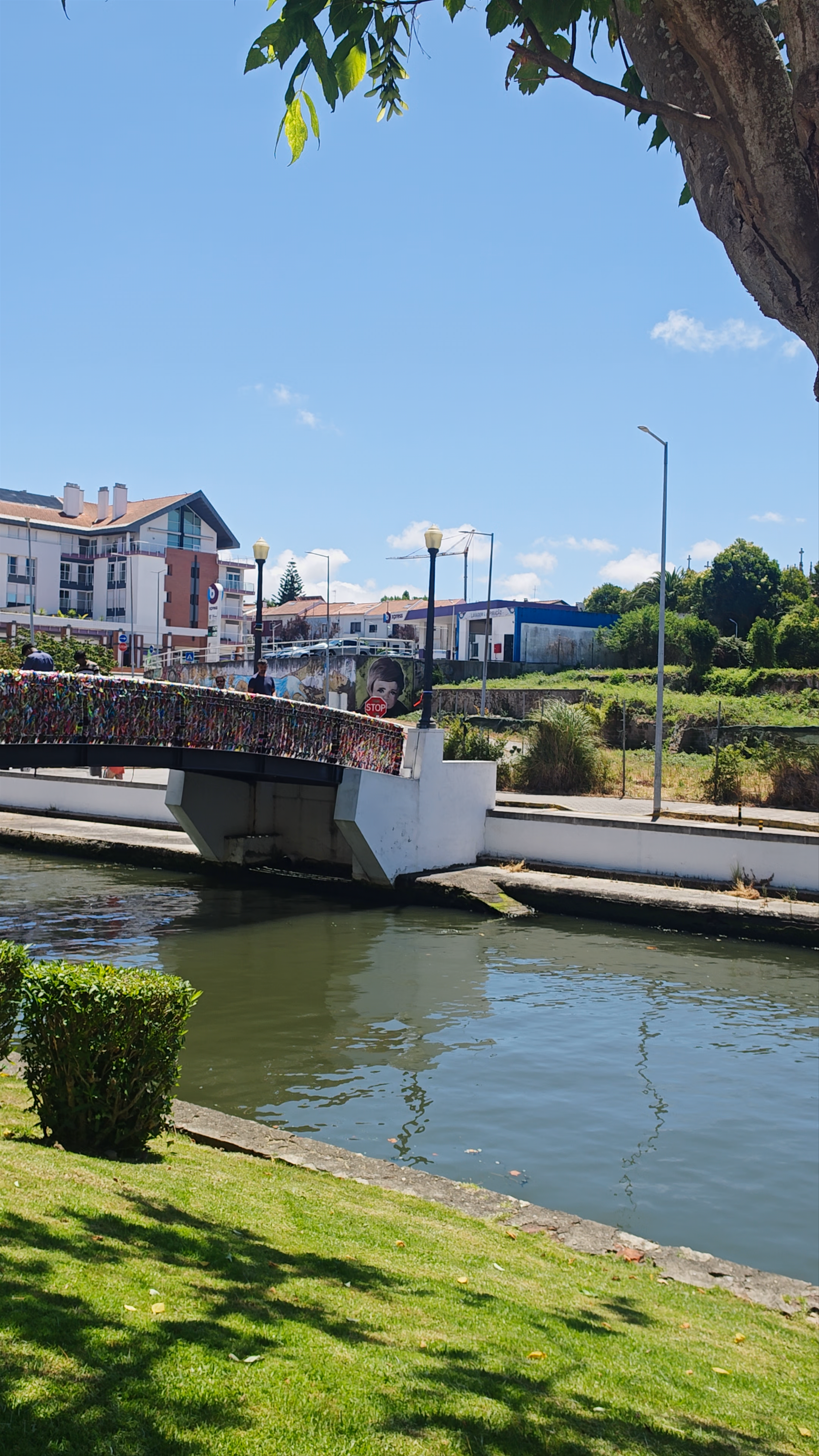Ponte dos Laços de Amizade: Colorful Friendship Bridge in Aveiro, Portugal