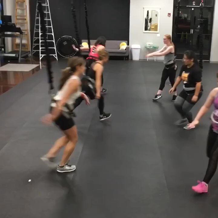 Tough Lotus - Gyms Near Me - Chandler, Arizona