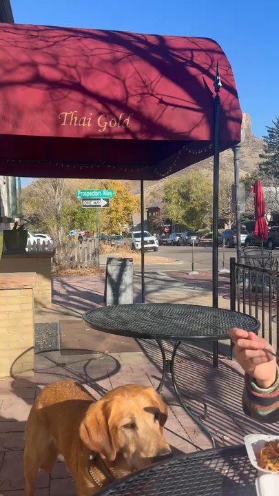 Thai Gold Restaurant - Thai Near Me - Golden, Colorado