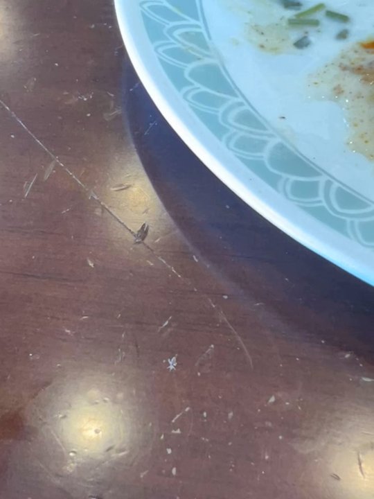 Hyderabad Dum Biryani - 1 of 2 bugs found while eating . - Indian Near Me - Milpitas, California