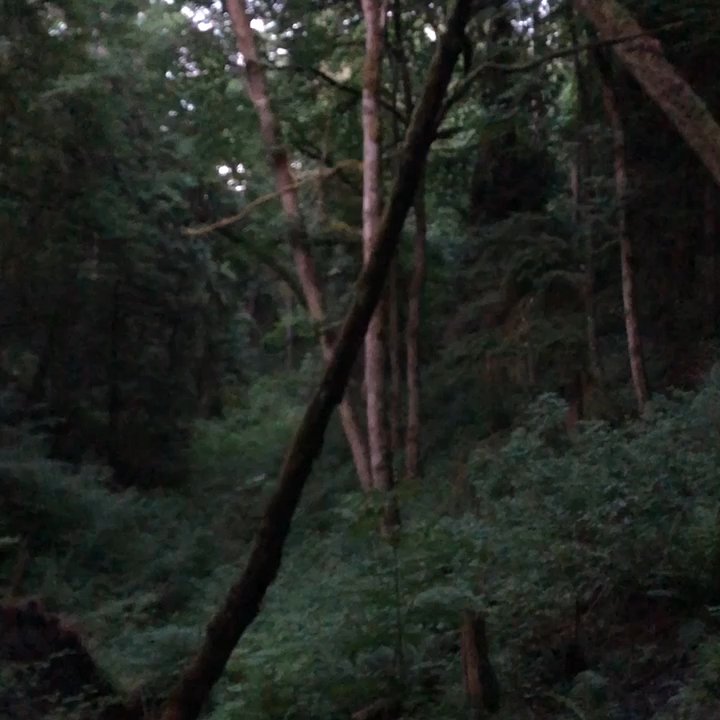 Saint Edward State Park - Agestic - Parks Near Me - Kenmore, Washington