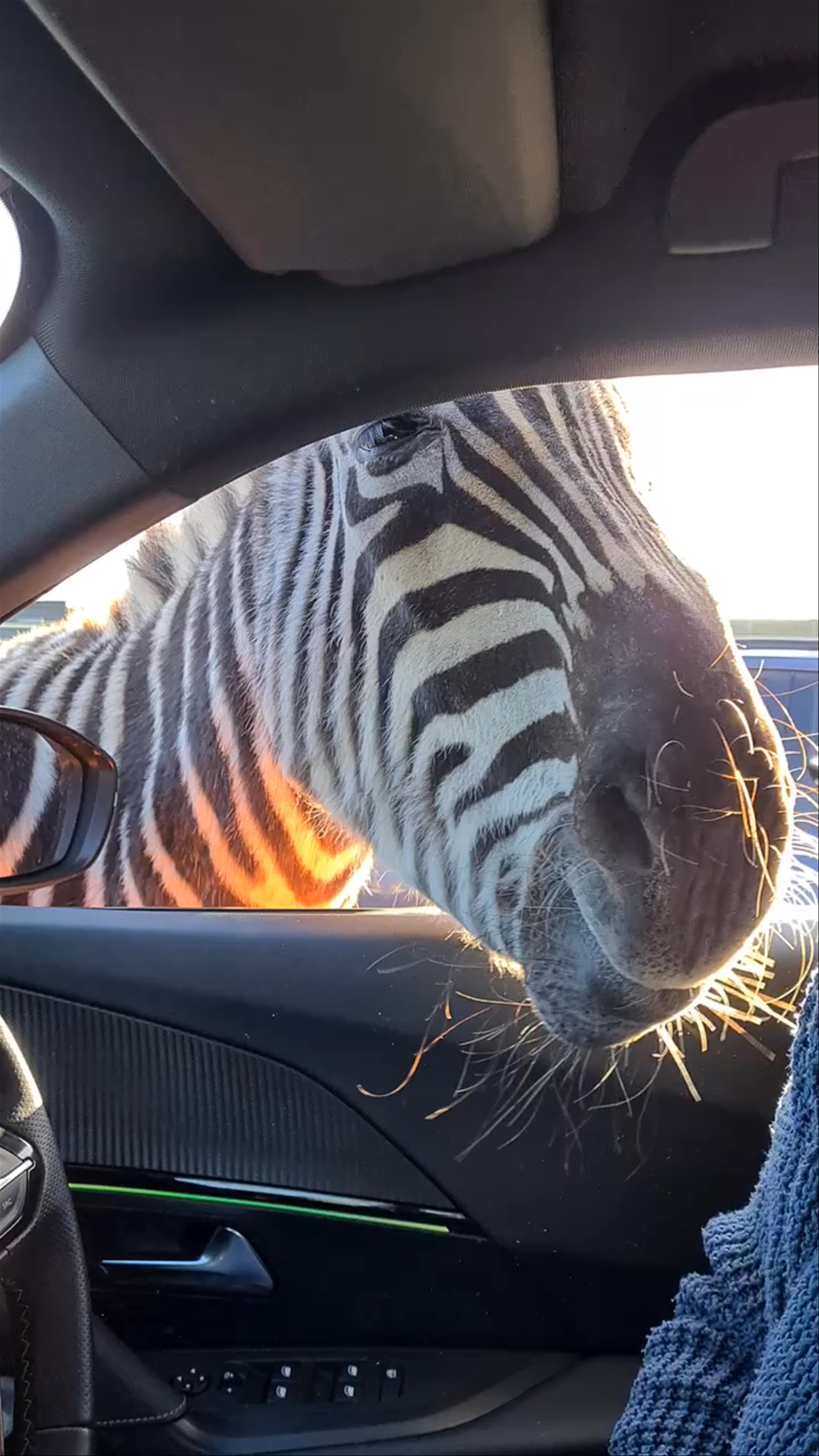 West Midland Safari Park