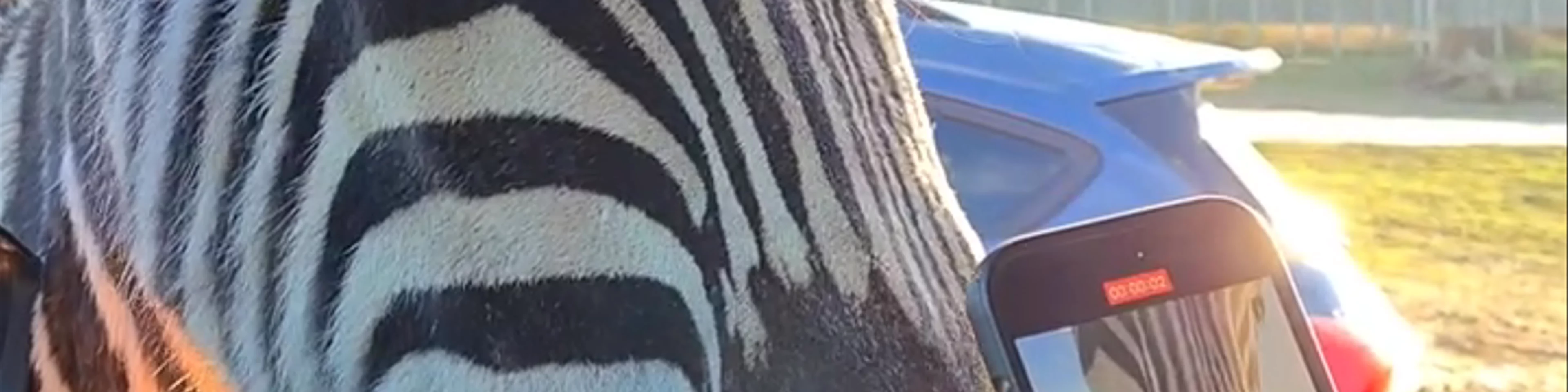 West Midland Safari Park