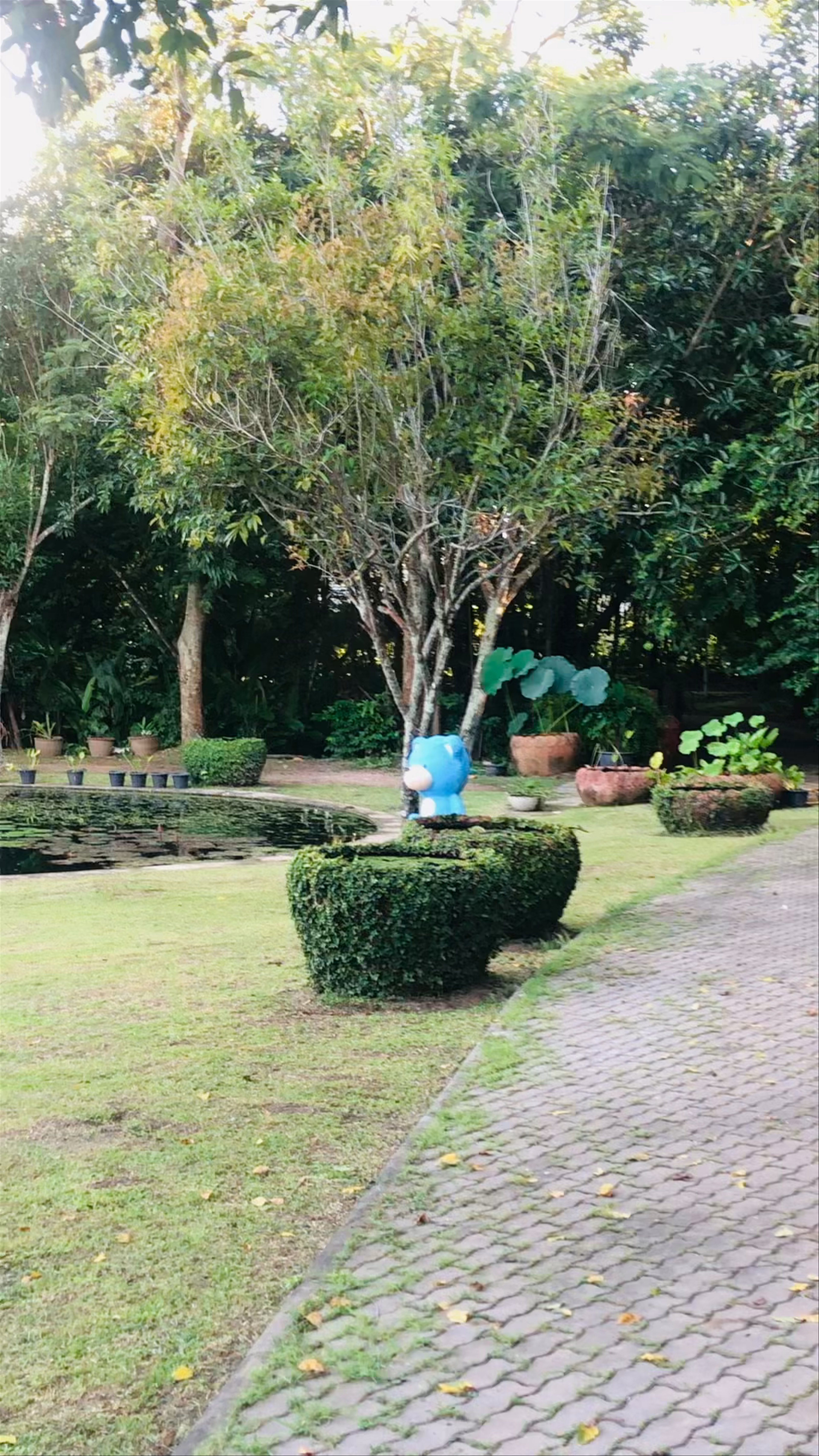 Royal Park Rajapruek