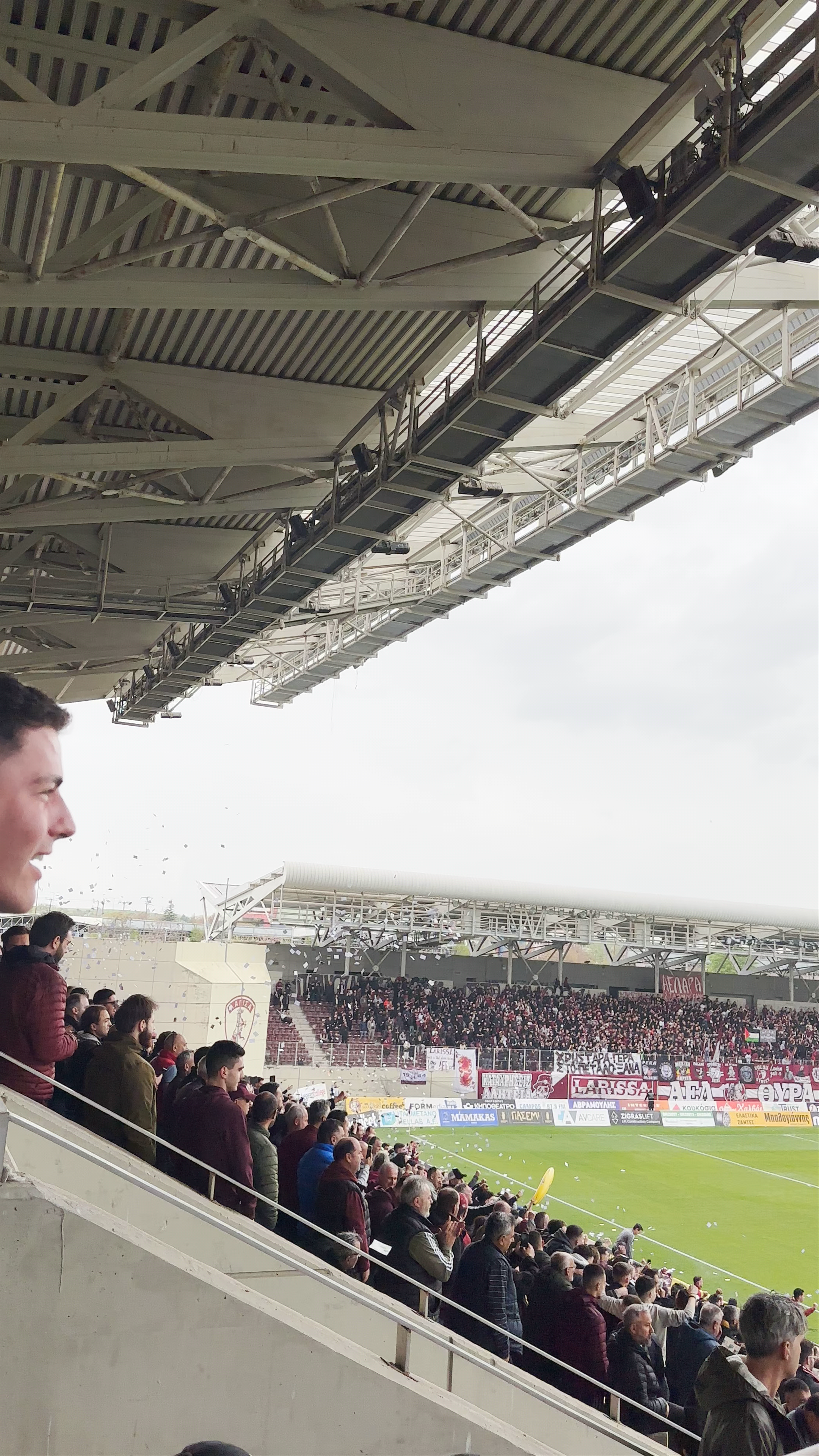 AEL F.C. Arena