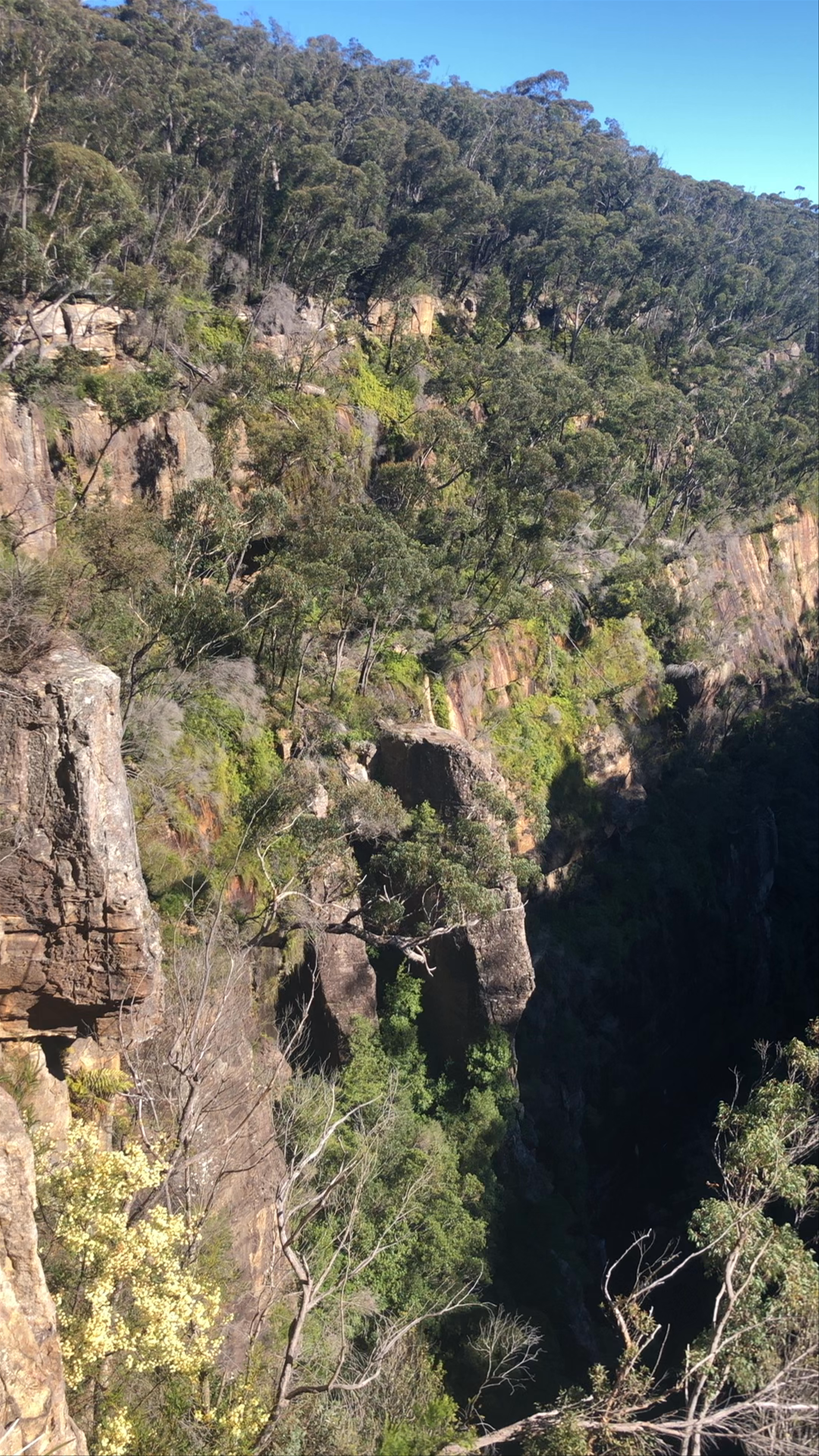 Carrington Falls Lookout Hike: Majestic Waterfalls and Scenic Forest Views in New South Wales