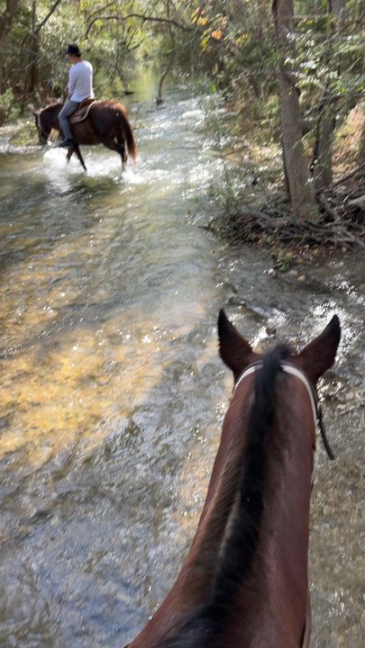 SOUTHERN TRAILS - Updated June 2026 - 112 Photos & 49 Reviews - 15701 ...