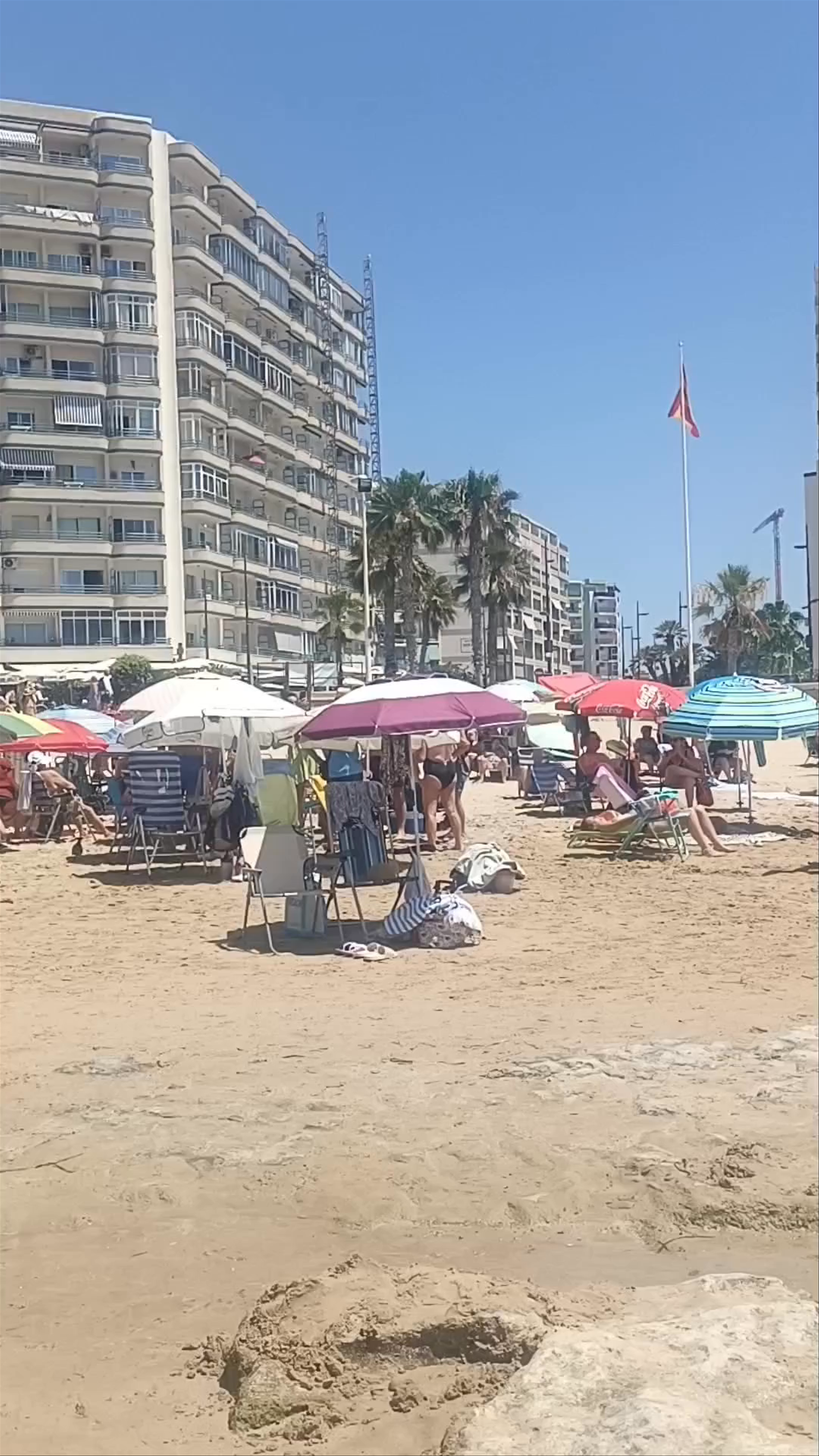Arenal-Bol
