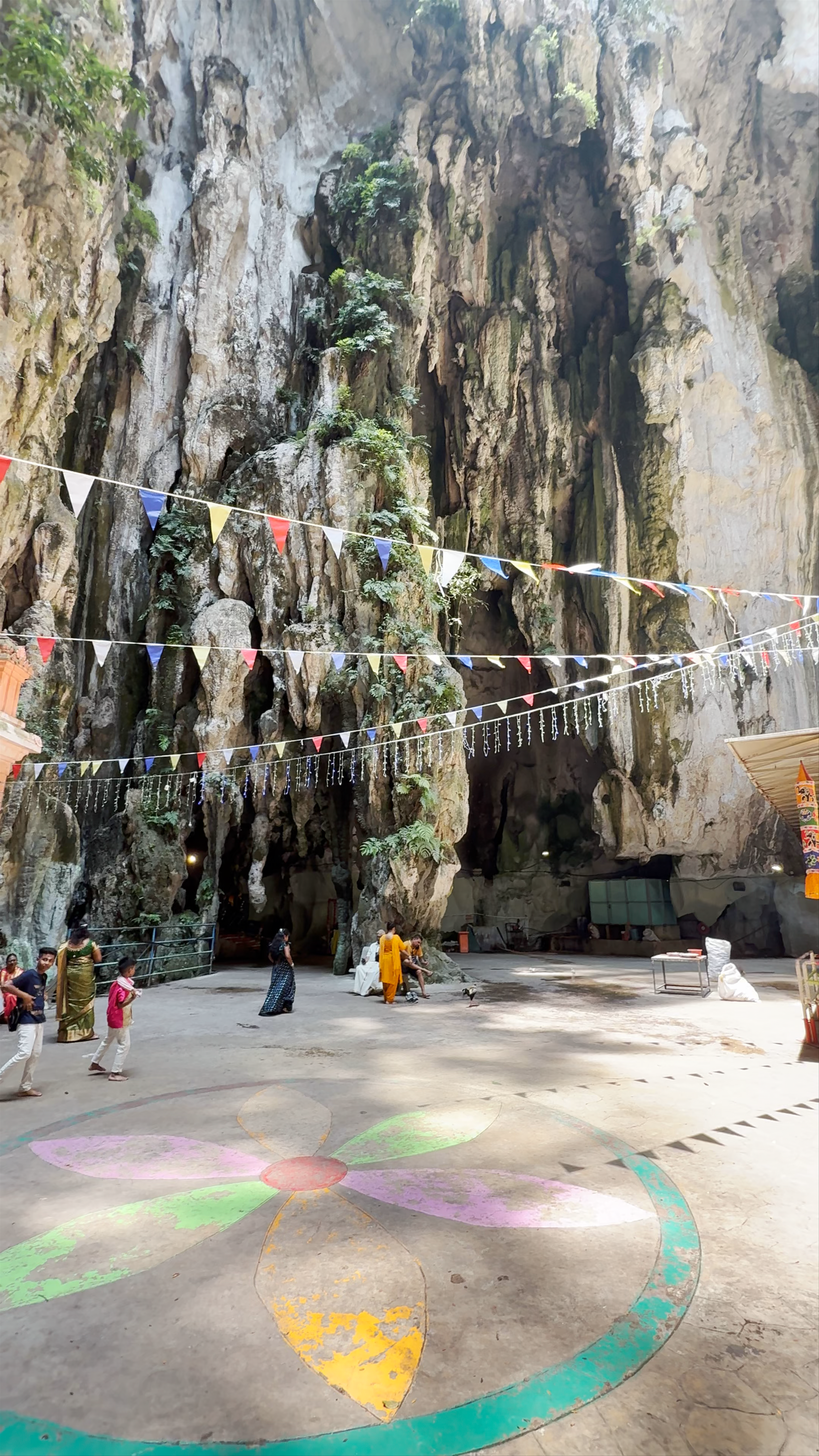 Dark Cave Conservation Site