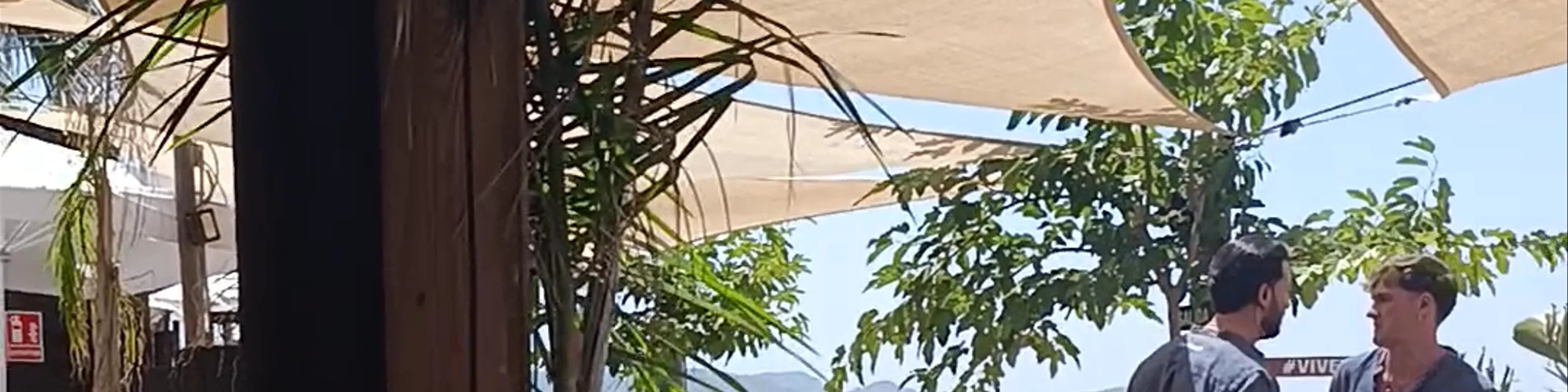 Vivero 55