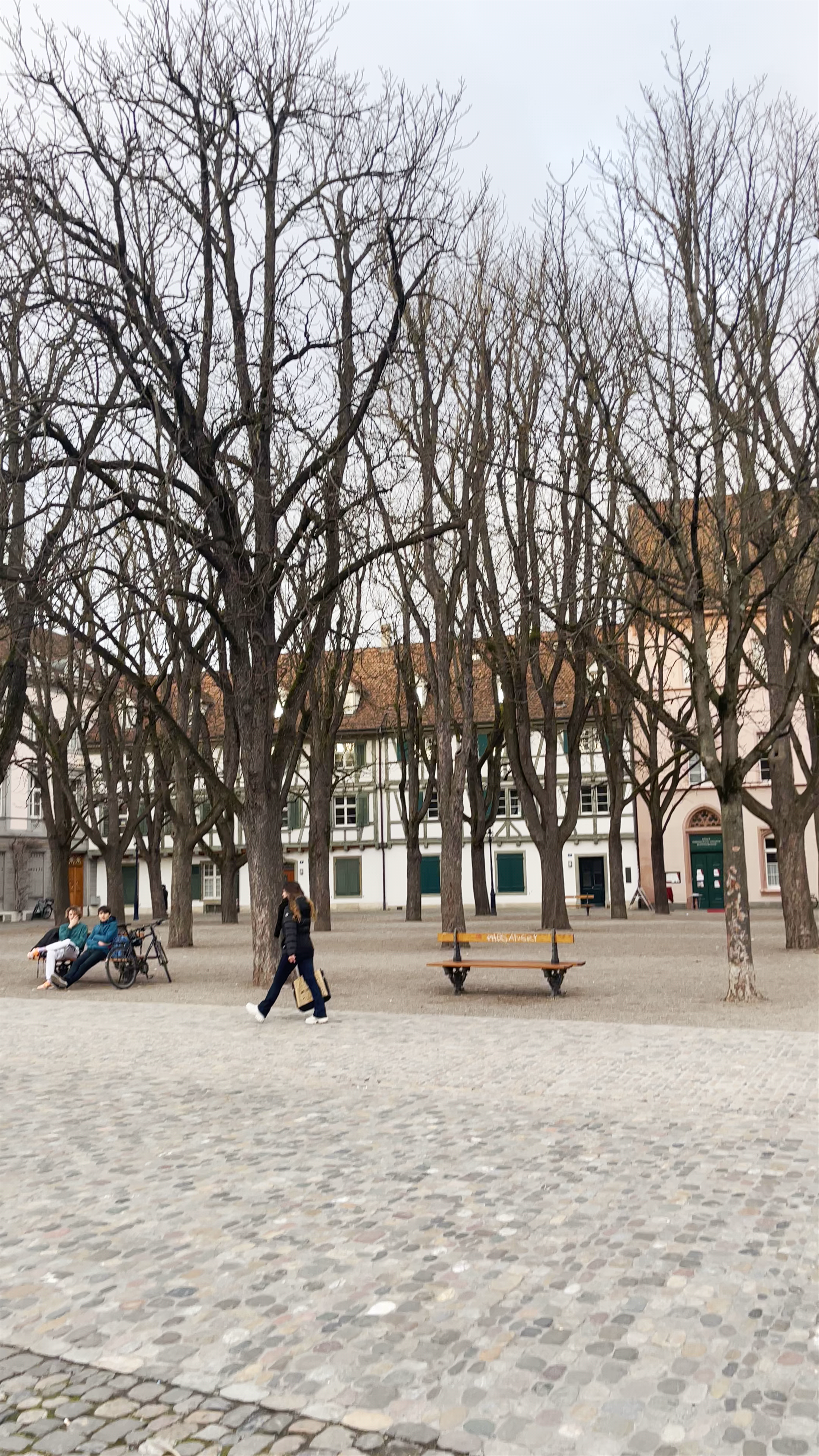 Winter Stroll at Münsterplatz, Basel – A Serene Urban Escape