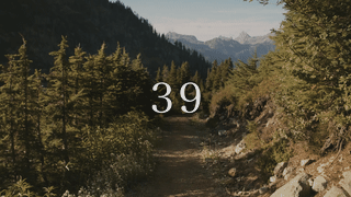 American Idols Part 2