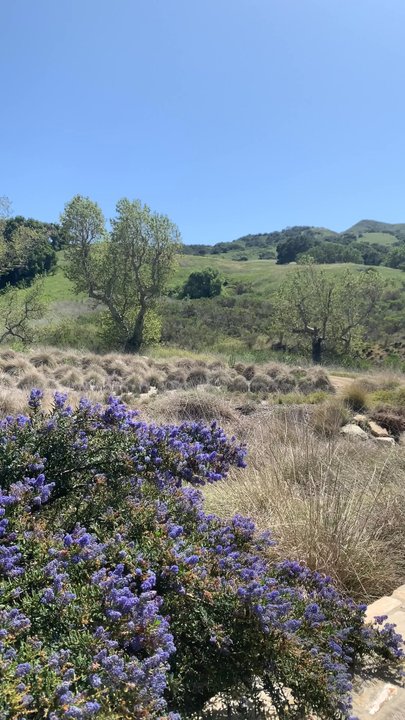 Peake Ranch - Beautiful grounds. - Wineries Near Me - Buellton, California