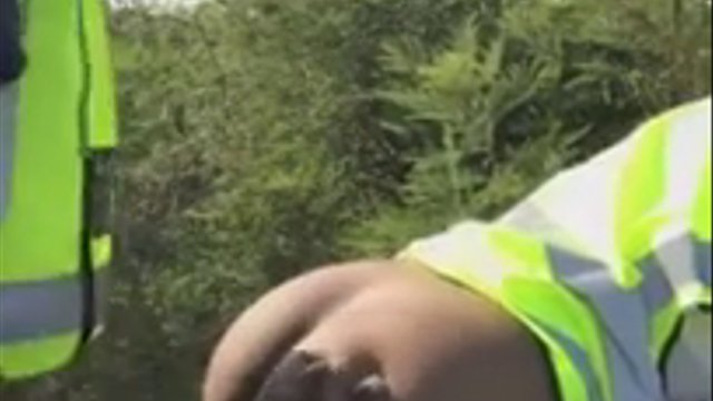 Outdoor Sex video thumbnail