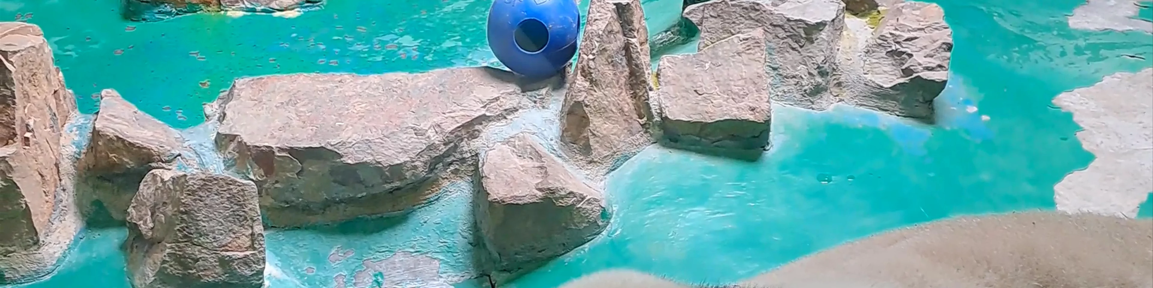 Shanghai Zoo