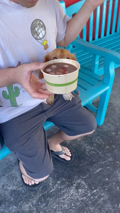 Aloha Andagi - Donuts Near Me - Honolulu, Hawaii