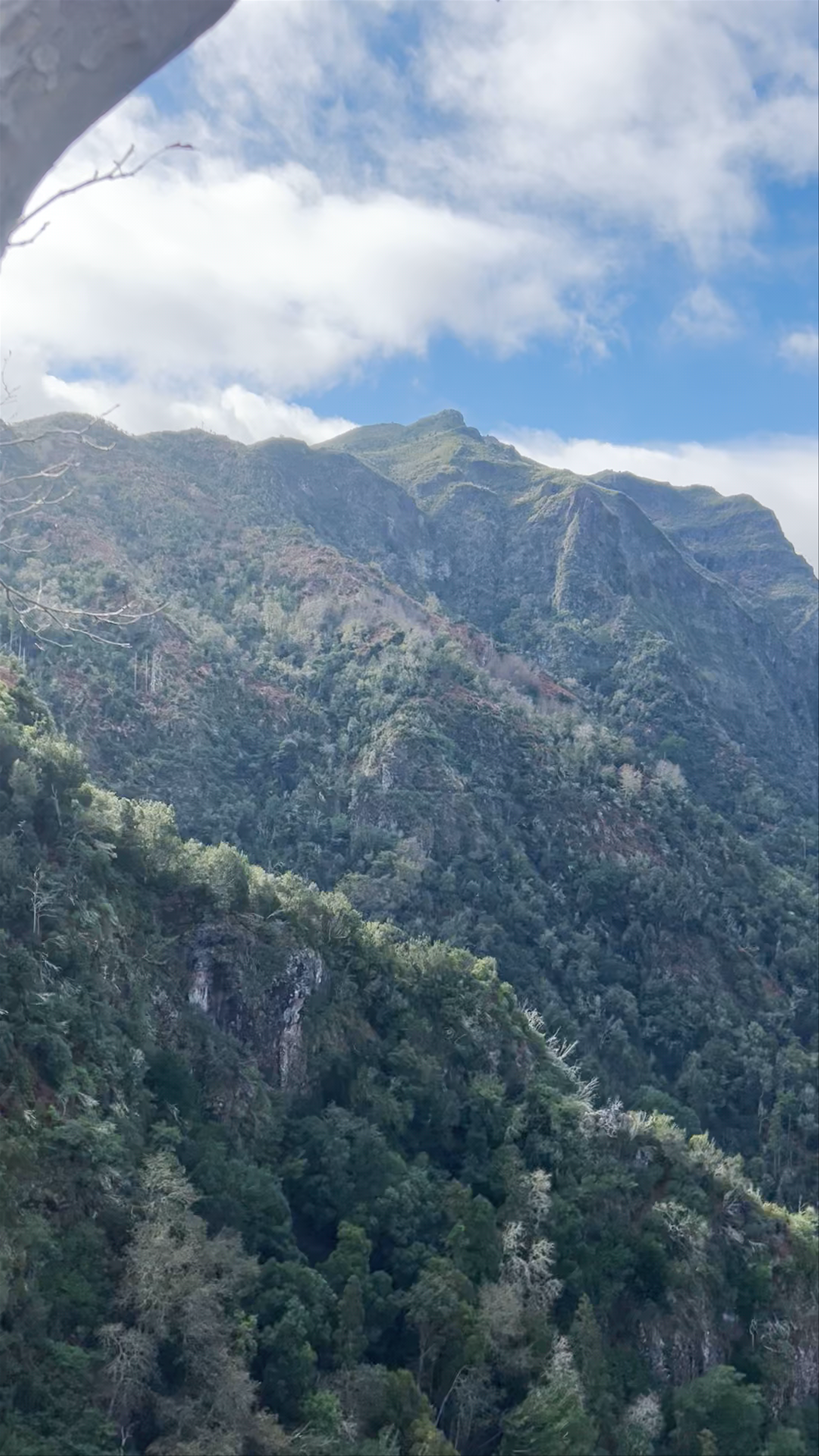 Miradouro dos Balcões