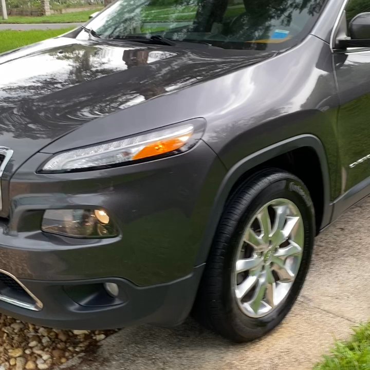 Red Dragon Mobile Detail - Walk around after a year if two dogs always on car - Auto Detailing Near Me