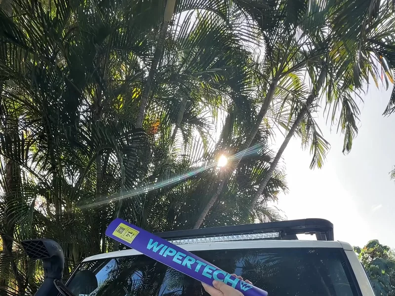 car wipes