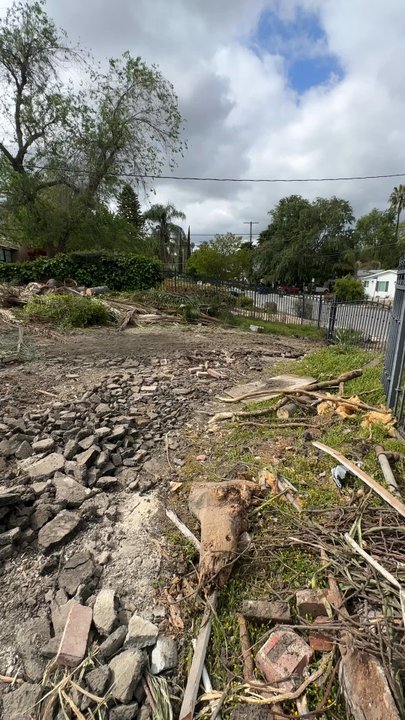 AJP Landscape - The mess Alonso left us with before disappearing with our money. Don't work with him and prevent this from happening to you too - Tree Services Near Me - Los Angeles, California