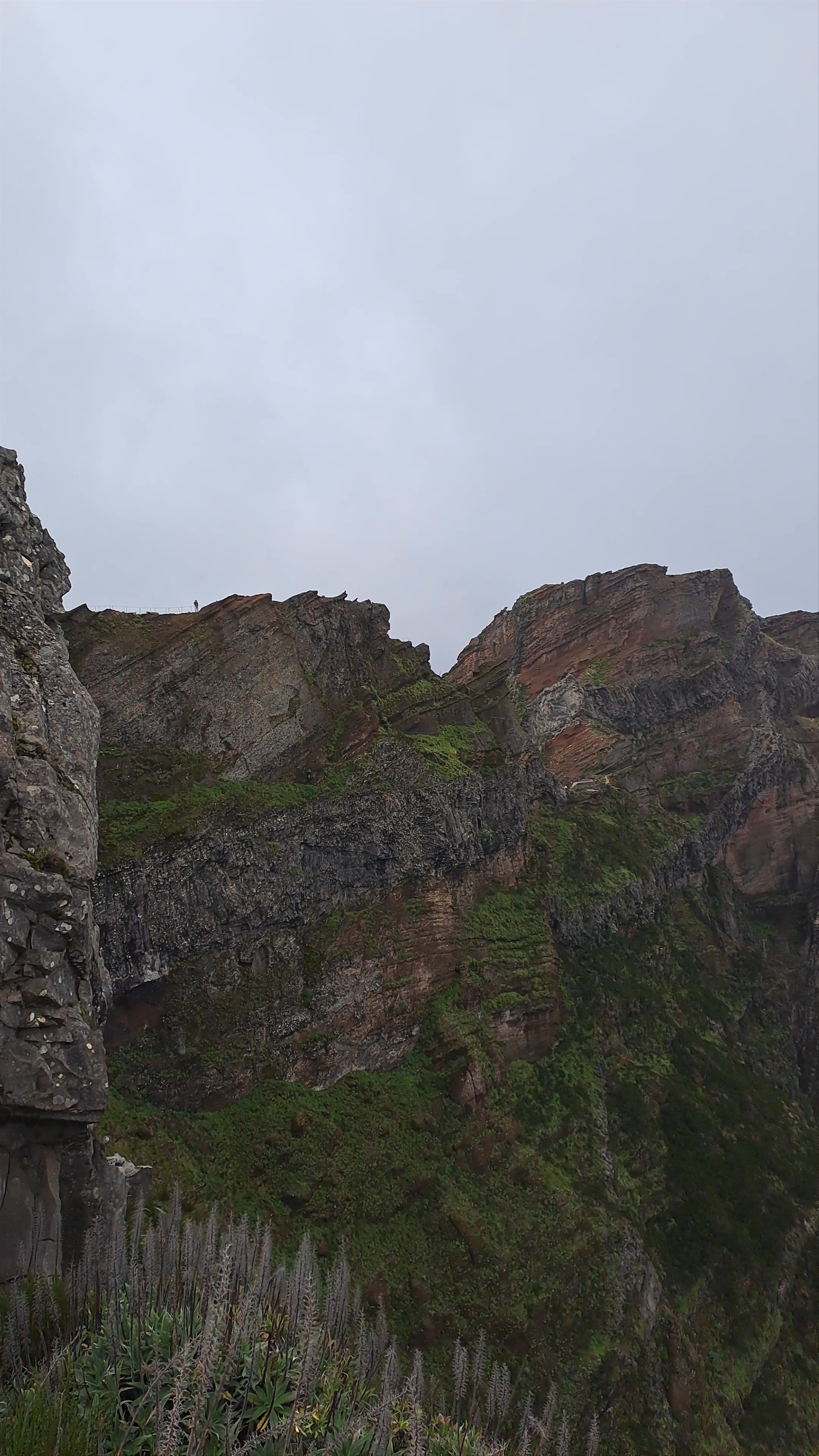 Miradouro do Ninho da Manta