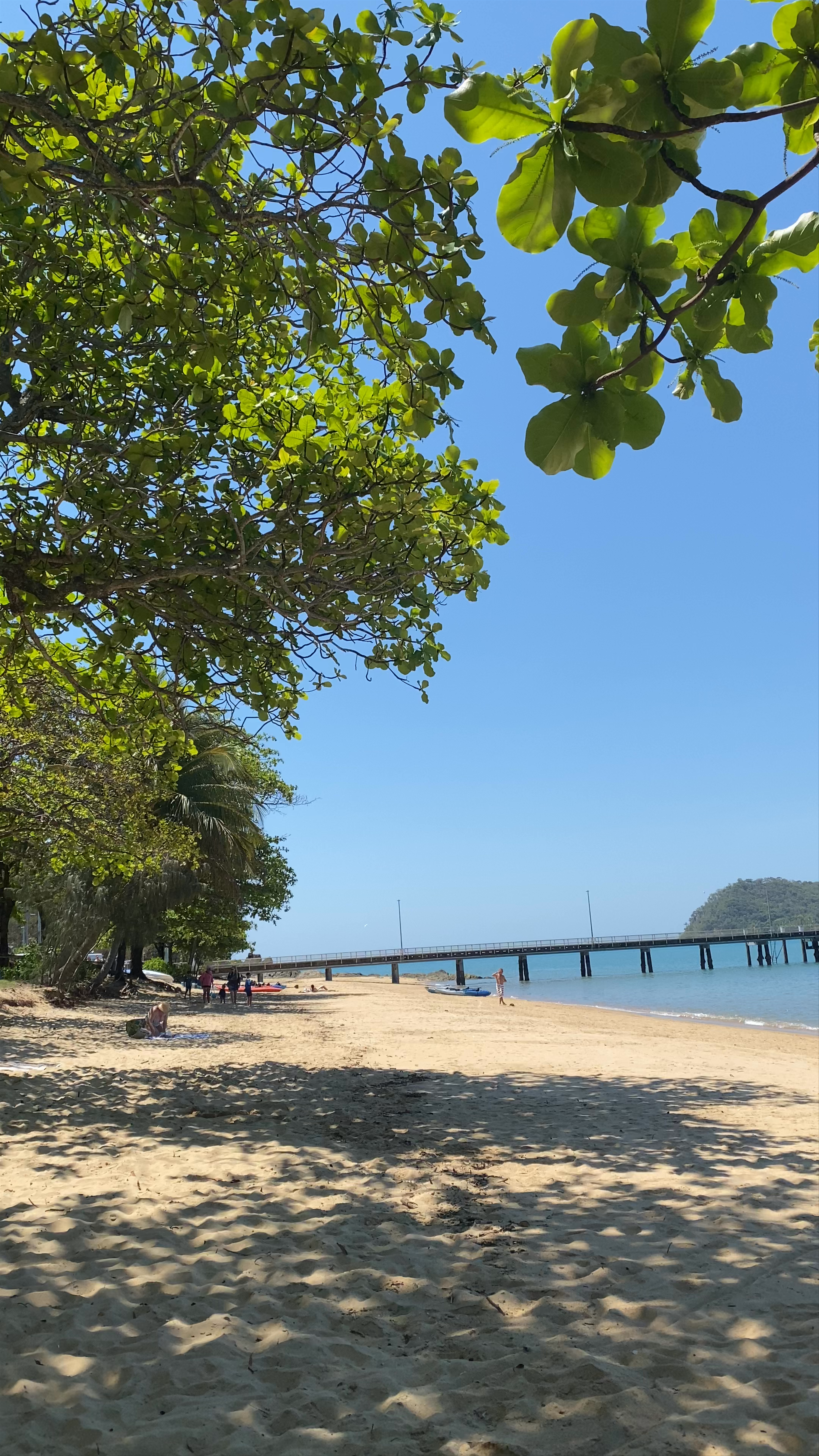Palm Cove Beach