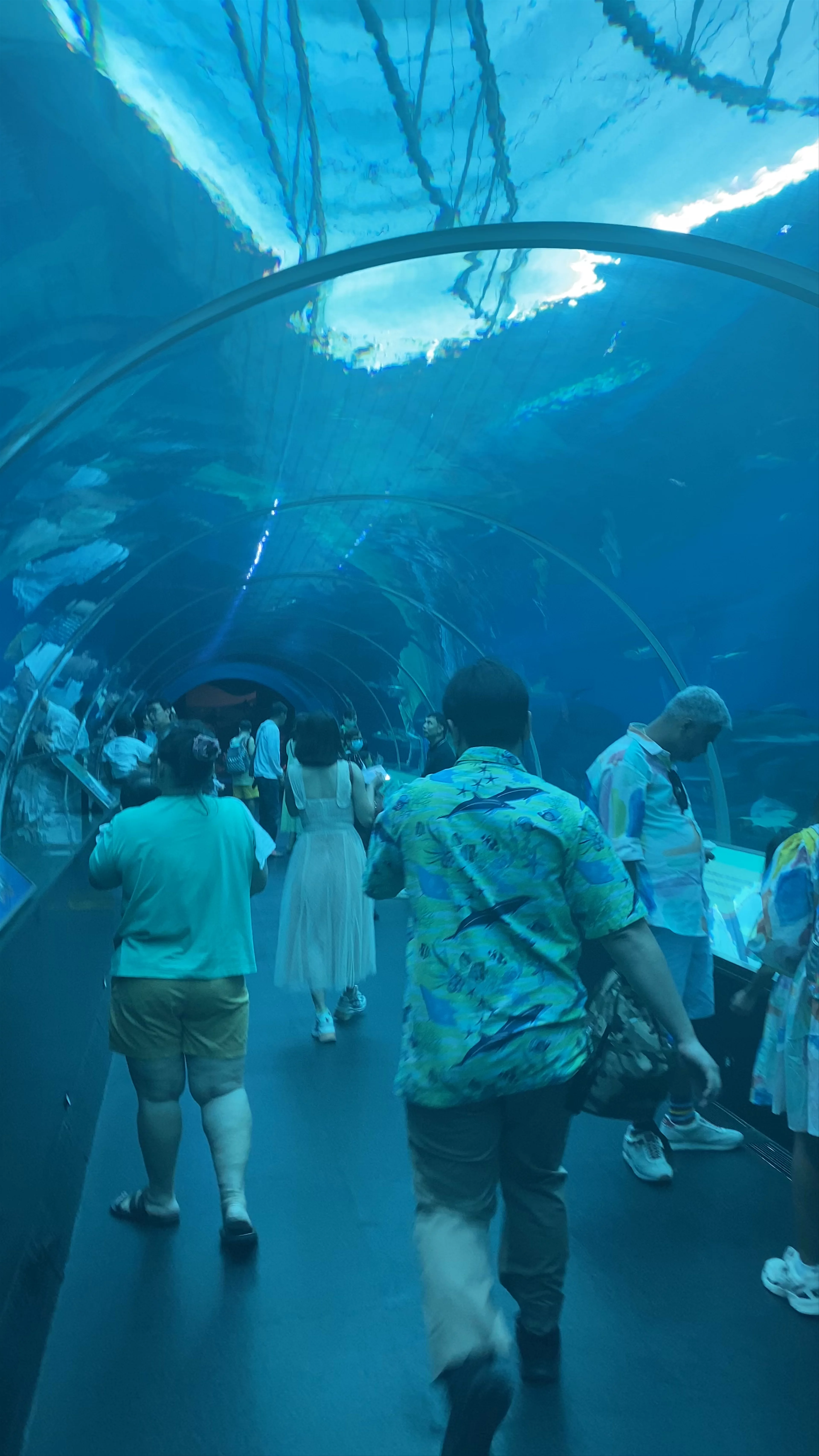 S.E.A. Aquarium, Sentosa Island