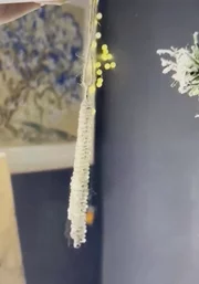 Product video, thumbnail 2 of 6