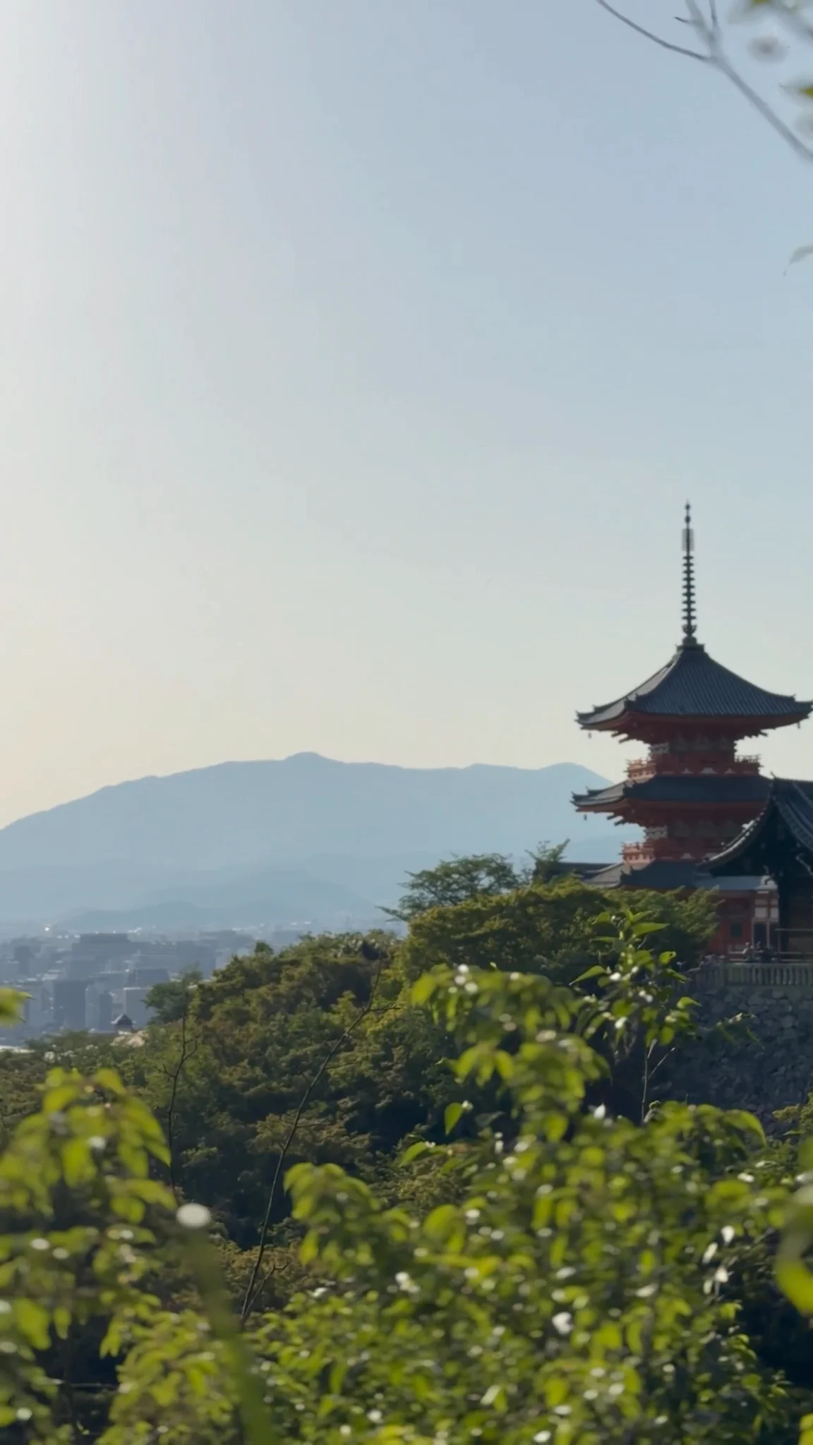 Video 6 · Jessica · Japan 360°: Tokyo, Kyoto, Hiroshima & Osaka by Bullet Train