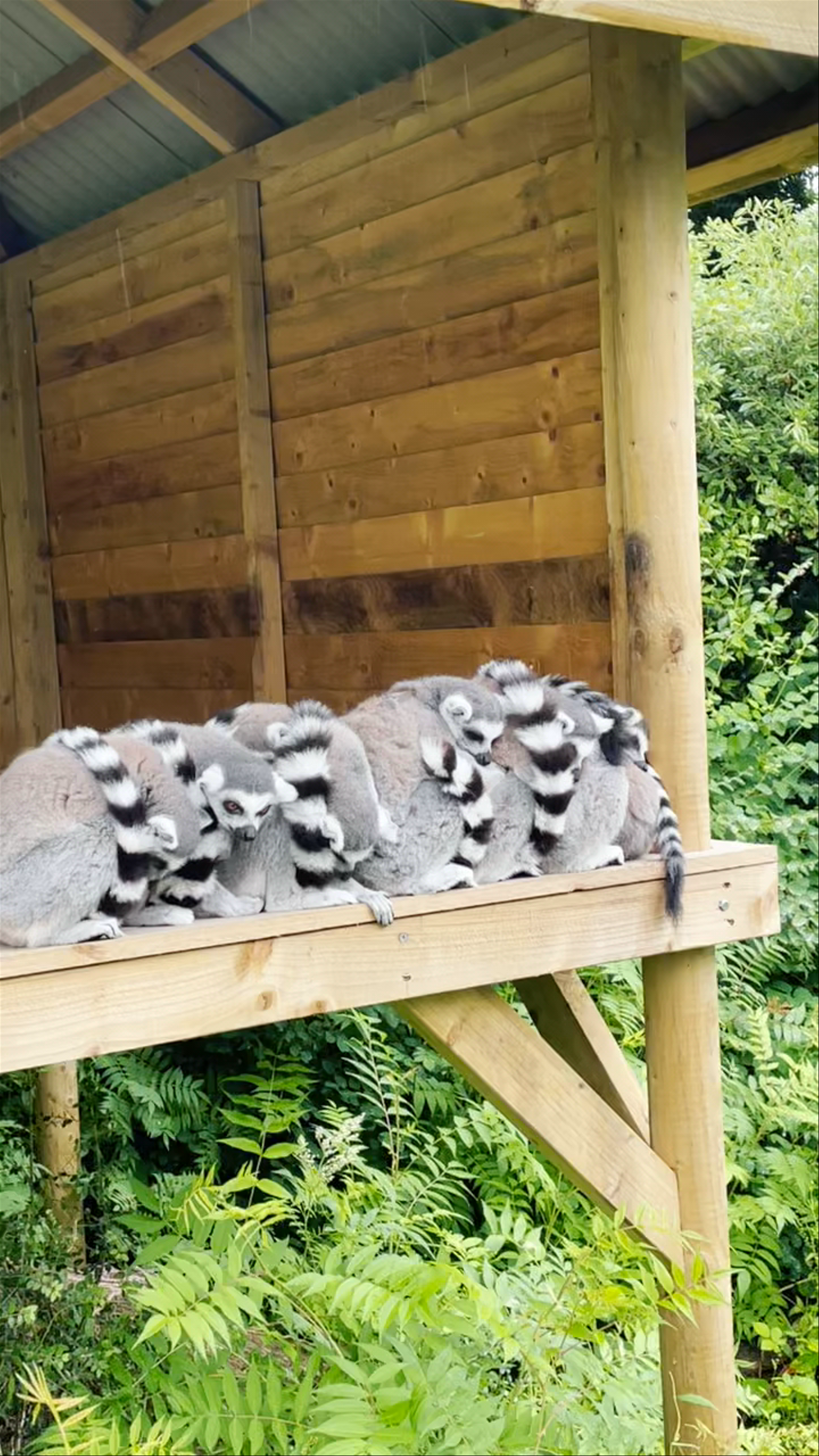 Dudley Zoo and Castle