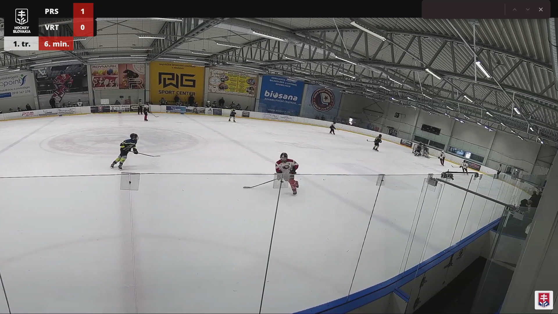 Nicolas Roth: Elite Vision and Puck Skills in HC Bulls U16 Highlights