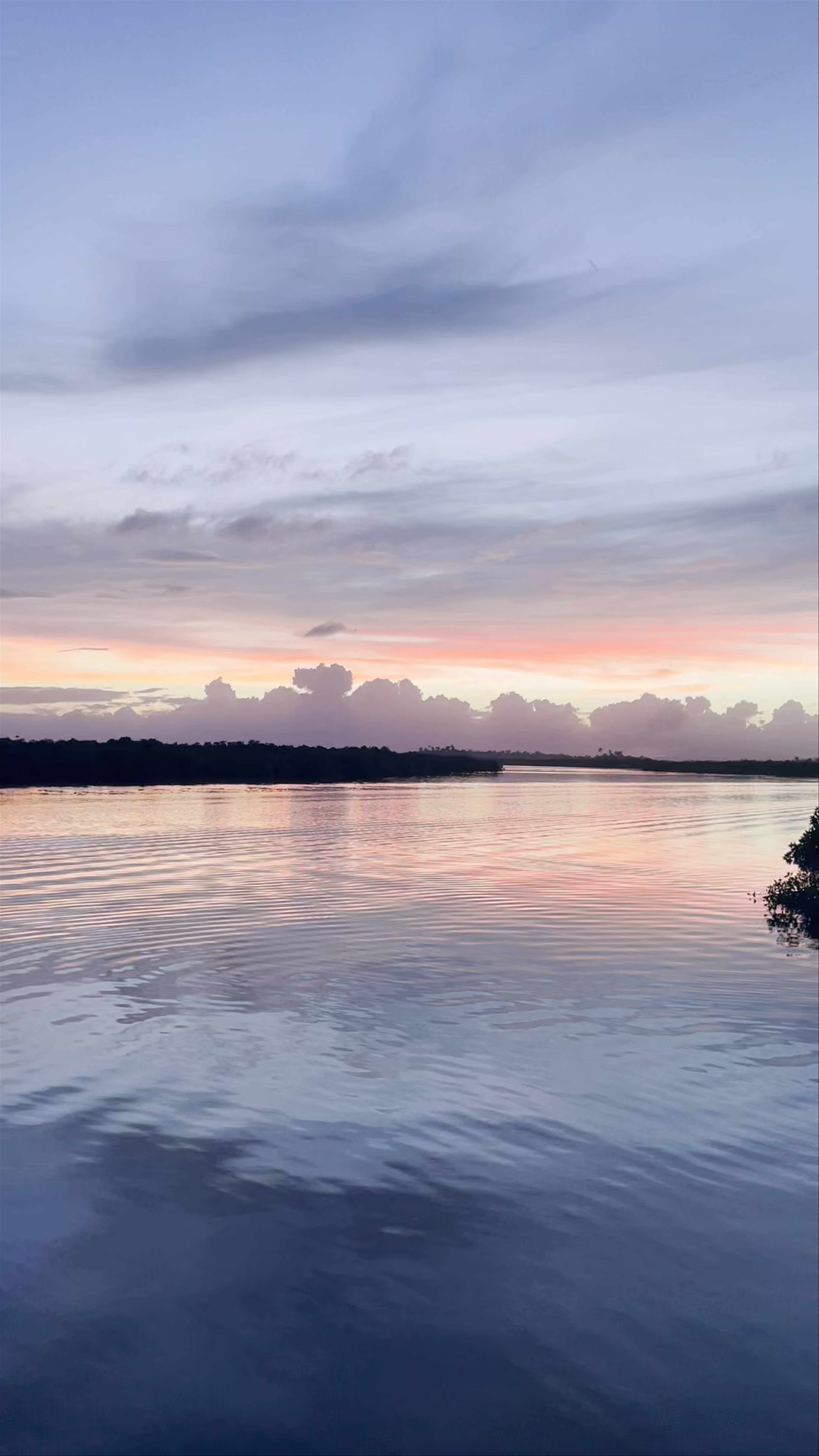 Del Carmen Mangrove Boardwalk