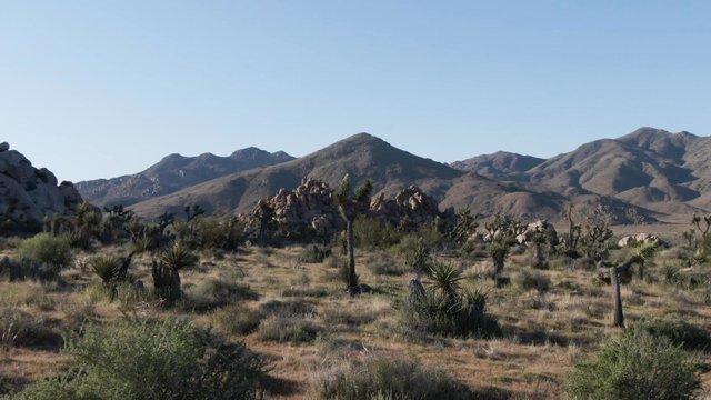 A desert in California