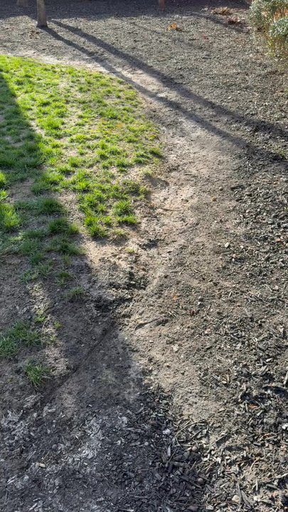 Torres Lawn Maintenance - Before and after mulch job - Lawn Services Near Me