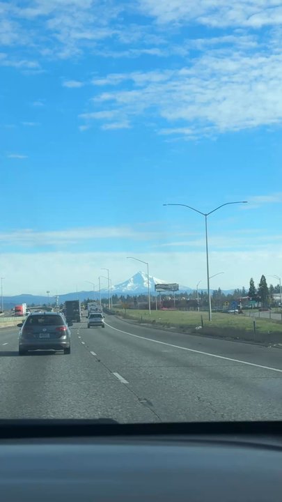 Harrison Tree Farm - Great views of Mt Hood on the way there - Christmas Trees Near Me - Sandy, Oregon